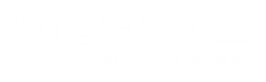 Steel Dart Lublin Logo