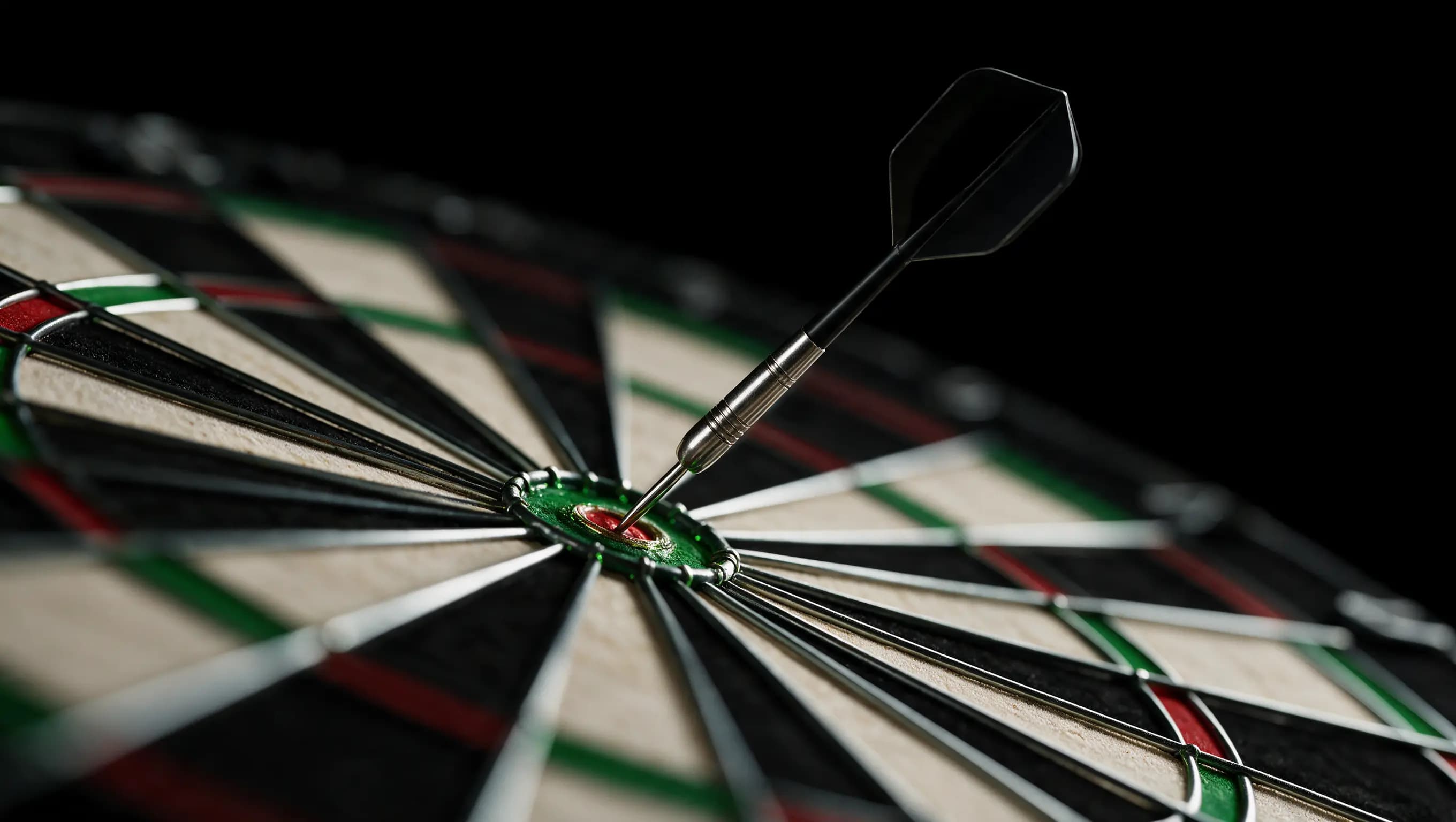Tarcza do darta w Steel Dart Lublin